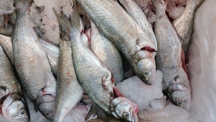 Продукты, которые помогают похудеть без строгих диет: выбор специалиста Продукты, которые помогают похудеть без строгих диет: выбор специалиста