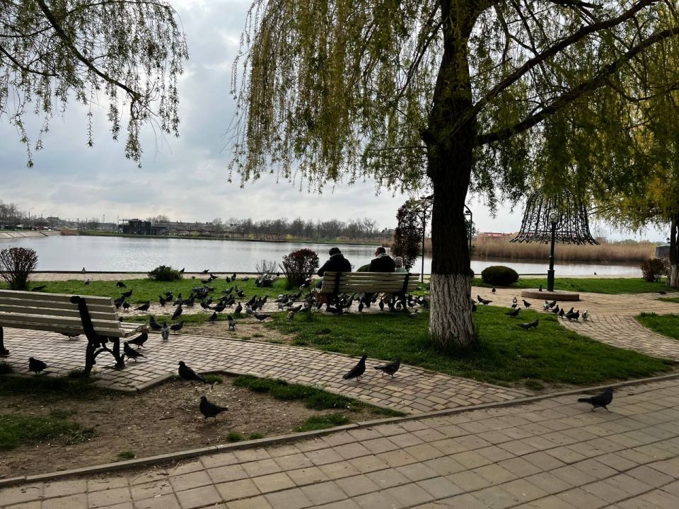 "Температура рухнет больше чем на 20 градусов": Вильфанд резко обновил прогноз на апрель 2025 года