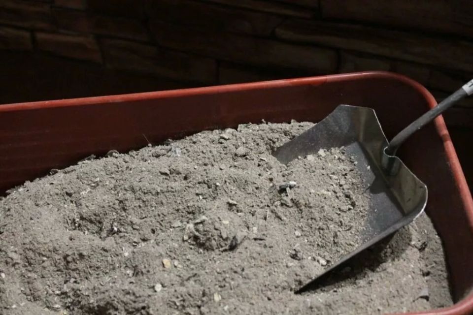 Высыпала 1 ведро — и суглинок с глиной стали плодородной почвой — растения чувствуют себя как «на курорте»