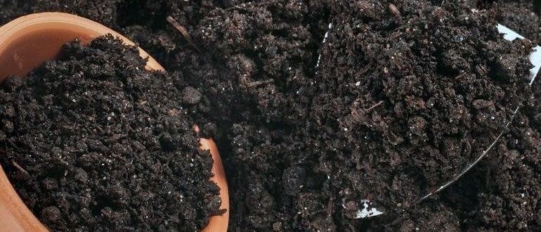 ��� ��������� ����������� ����� ��� �������: ������� ��������� ������