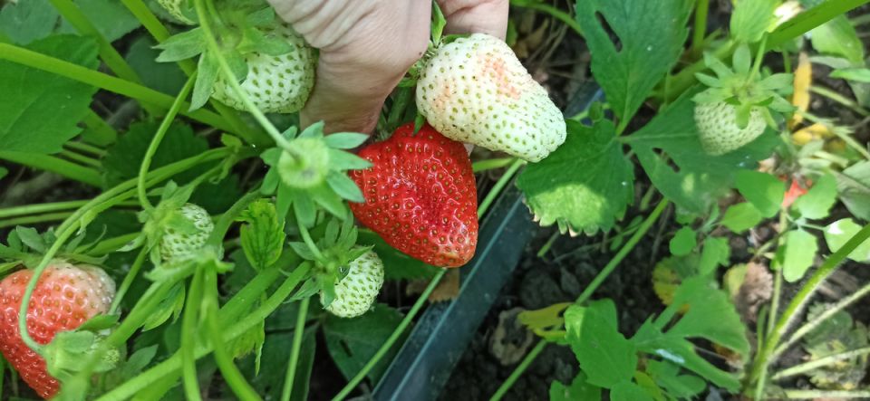 ��� �������� ����� ����� �� ��������: ������� ��������� �����