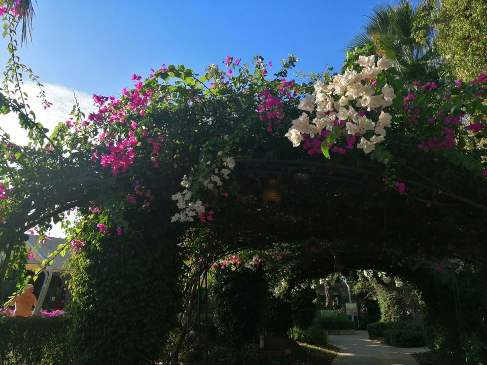 ����� � �����������: ����������� ����� � Mukarnas SPA Resort 5*