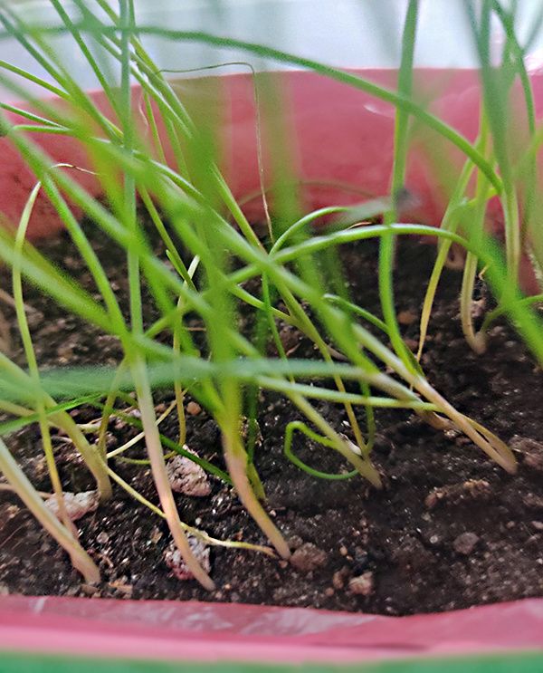 ����� ��������� ����� � ������� ����?