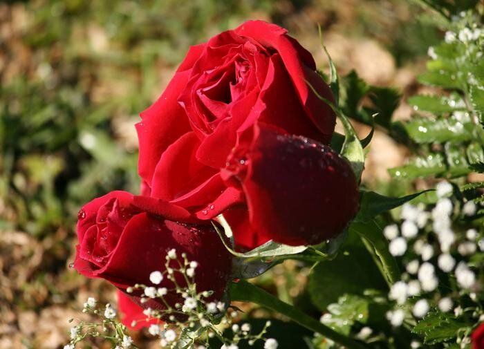 ��� ��������� ����� ���: ������ ��� ��������� �����������