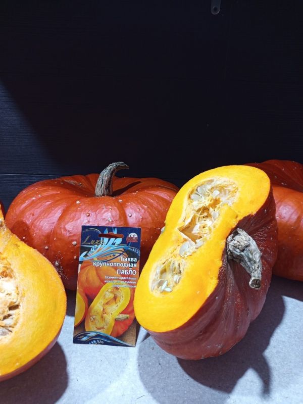 ����� �����: ��������� ��������� ����� � �����������