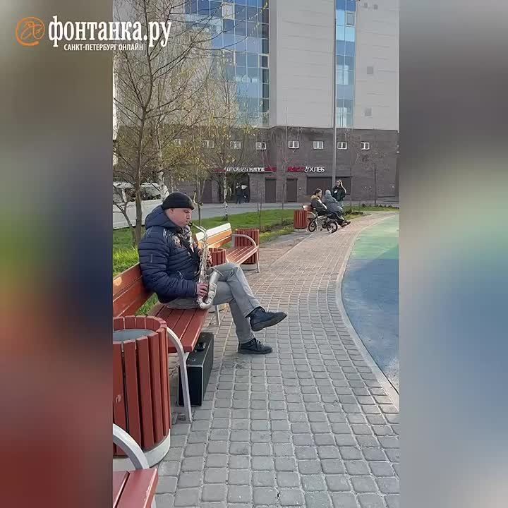   :     