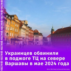           -       2024 