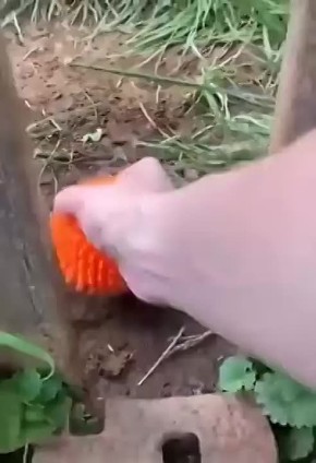   ,     ,      