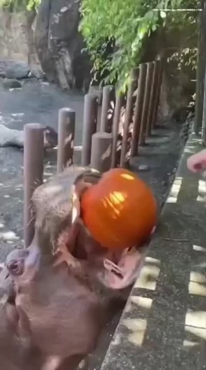  ..  , !