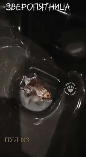      :