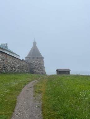   ,   XVI 