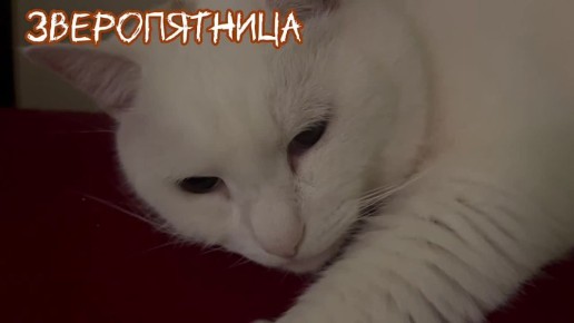    ..   