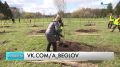 До 26 мая продлится голосование за название зеленой безымянной территории за Пискарёвским мемориалом