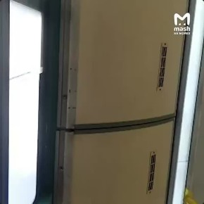                 ,    ,     