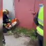 Безакцизных сигарет на 100 миллионов рублей (несколько десятков огромных коробок) изъяли в гаражах у хитрых дельцов из Беларуси и Азербайджана