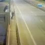 Бессердечная хозяйка бросила своего хвостика в лесу у Шлиссельбурга привязала собаку поводком к дереву неподалёку от Ладожского моста и просто ушла