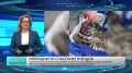 Операция по спасению птенцов развернулась на башне Лахта Центр