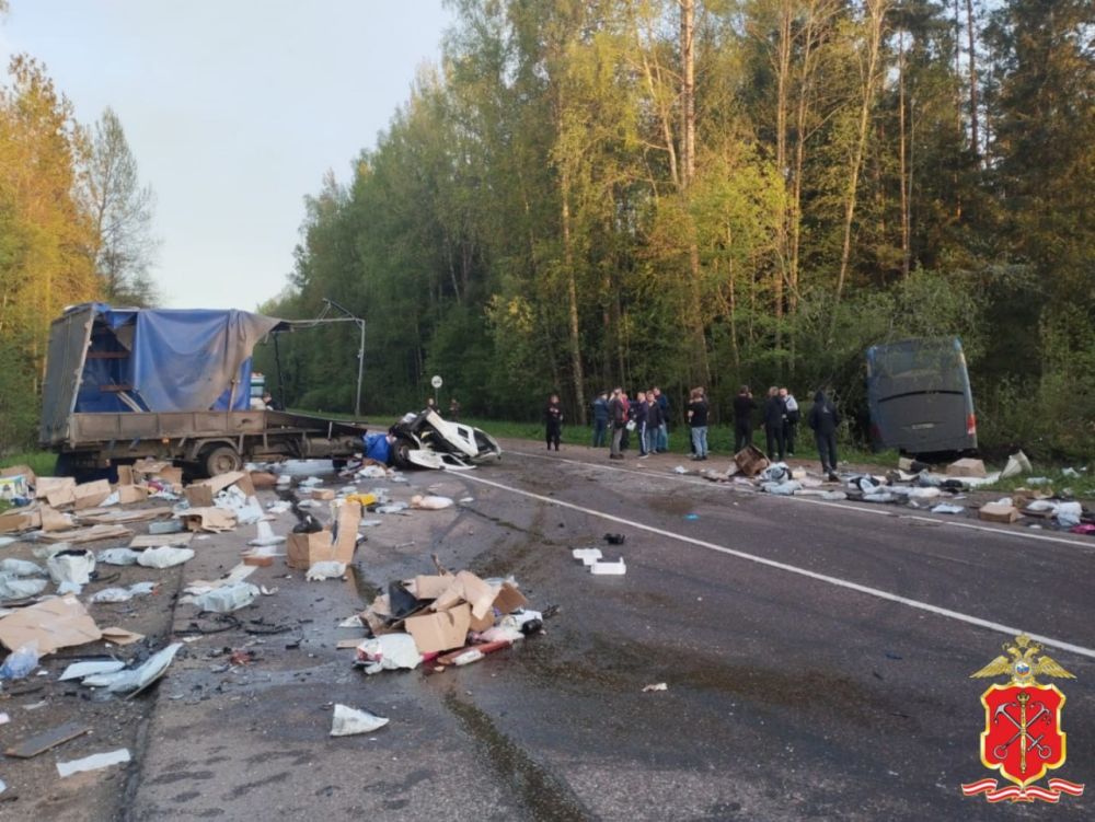 Полиция разбирается в деталях смертельного ДТП под Кингисеппом