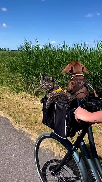 Суббота, погнали!. Доброе утро, друзья!