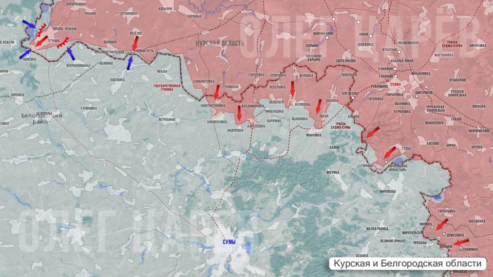 Олег Царёв: Фронтовая сводка 4 июня. На Херсонском направлении ВС РФ уничтожили склад с боеприпасами под Херсоном, продолжили атаки по ПВД противника