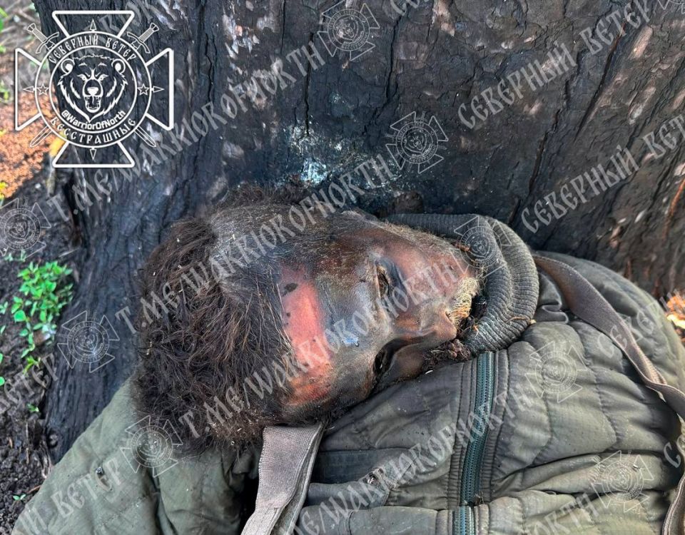 Кадры 18+: на опознание труп очередного уничтоженного оккупанта в Суджанском приграничье