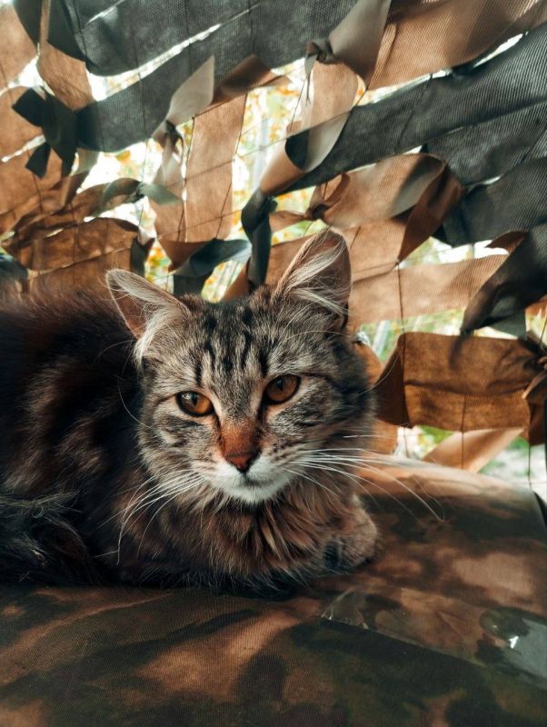 Александр Коц: Пятихатка. Окопная проза Адлера