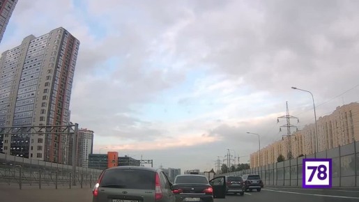 Водители подрались после ДТП на Дунайском проспекте