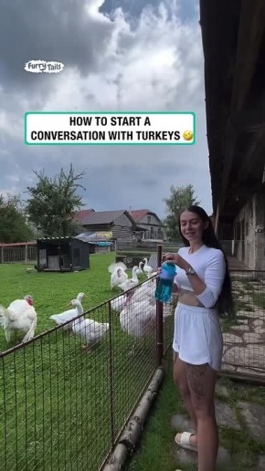В нашей работе главное - находить общий язык с коллегами
