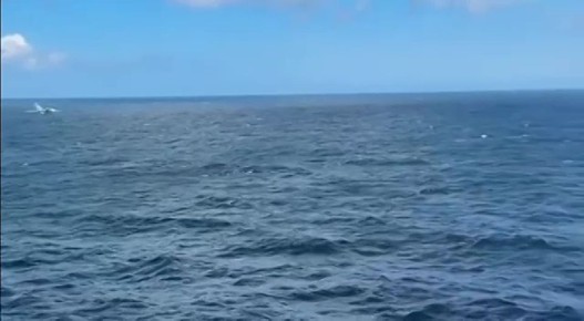Два майора: Балтийское море, нейтральные воды, кадры с корабля ВМС США