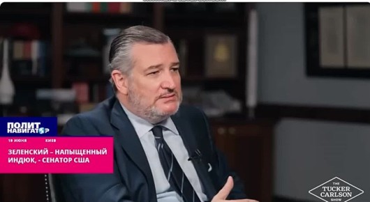 Сенатор США объявил Зеленского «напыщенным индюком»
