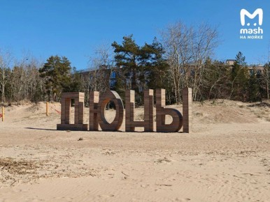 Муж изнасиловал собственную супругу на известном нудистском пляже &quot;Дюны&quot; около Сестрорецка — всё произошло накануне в разгар дня