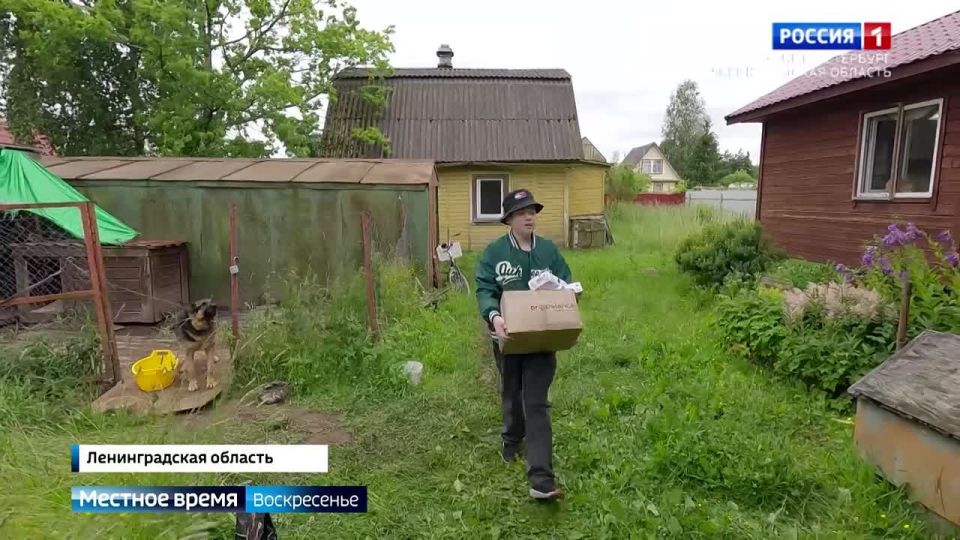      80   ,    
