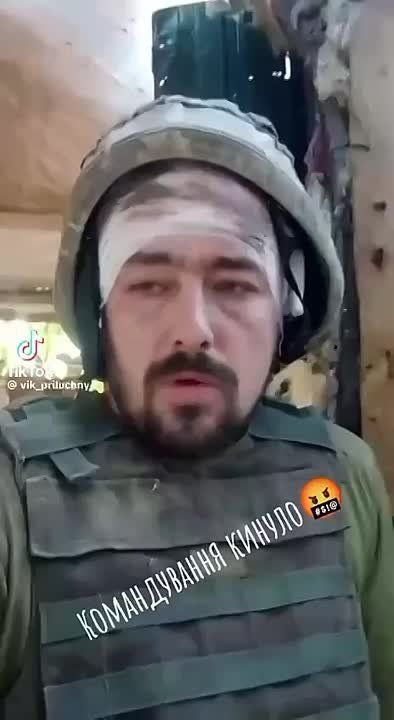  :   . 