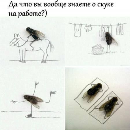  :       -       