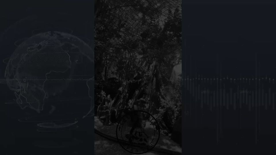  :   15 , -