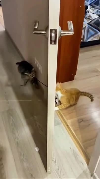  :          