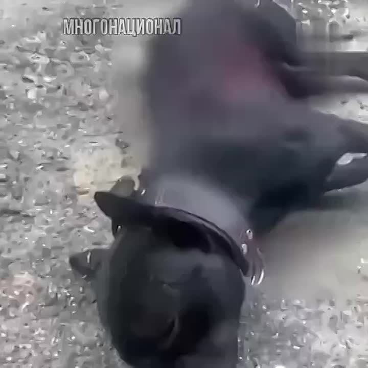          -