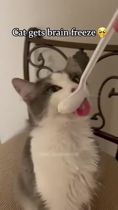  :    -   ,  !