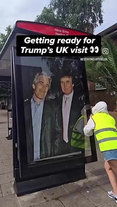  :  ,       ,         