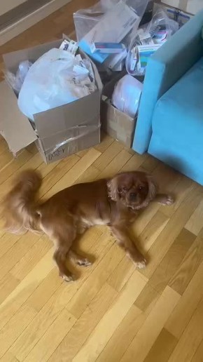  :        