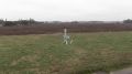 Airbus           Flexrotor,   ,   