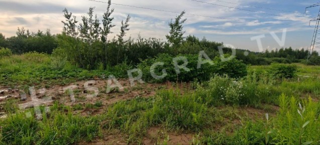 Новая загадка в деле Старовойта