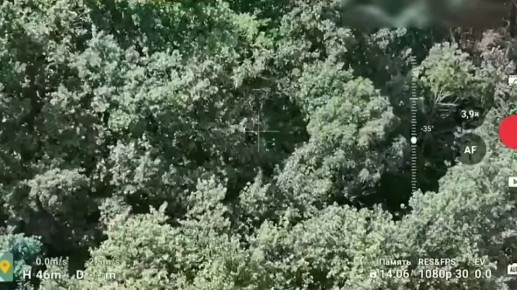  :      &quot;AvengeAngel&quot;
