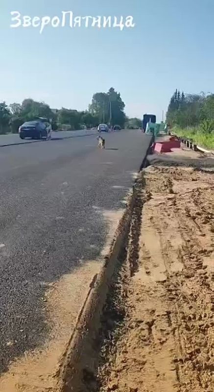    ,  , ,     ,    