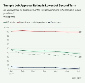  :         37%           ,   2%     