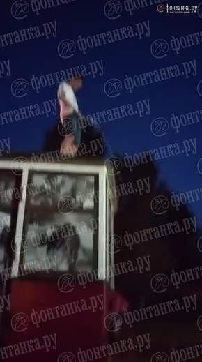      :   ,  ,       