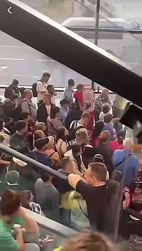 :   ,         ,         ,          ...