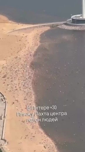  :      