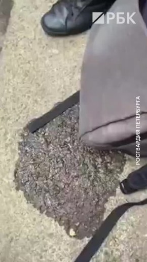   27-         ,   