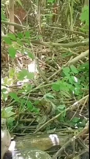   .  ,          ,     !   :